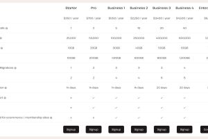 Kinsta WordPress主机托管优惠 年付赠送2个月使用时长 仅$350/年起-百变无痕