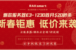 RAKsmart新春活动 爆款美国服务器E3-1230仅$20/月 VPS全场65折 云服务器7折-百变无痕