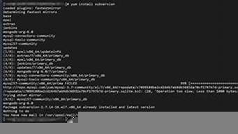 图片[1]-云服务器svn(云服务器网络测速)-百变无痕