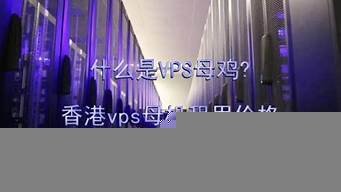 图片[1]-vps母鸡(vps母鸡保留多少内存合适)-百变无痕