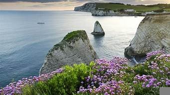 图片[1]-欧洲一级vps(欧洲一级母婴标准是什么)-百变无痕