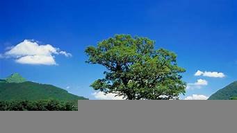 图片[1]-日本高清vps(日本高清xboxone)-百变无痕