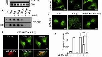 图片[1]-vps34(vps34-beclin1是什么)-百变无痕