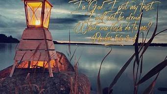 图片[1]-56vps-百变无痕