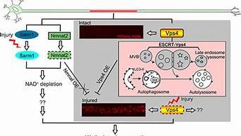 图片[1]-关于vps(关于清明节的作文600字左右)-百变无痕