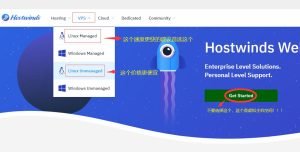 Hostwinds美国 VPS怎么购买？保姆级教程-百变无痕