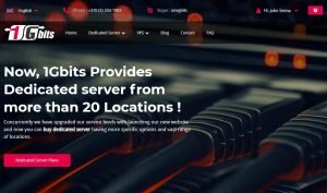 1Gbits怎么样?1Gbits详细测评-百变无痕