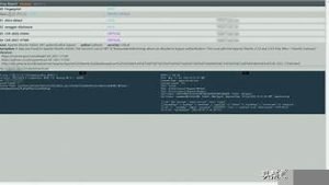 快速稳定vps(快速稳定发展)-百变无痕
