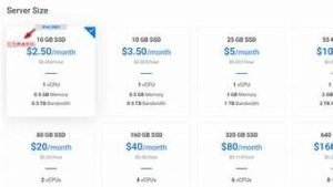 国外vps费用(国外vps加速免费下载)-百变无痕