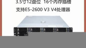 vps多线(RⅤVPS是什么线)-百变无痕