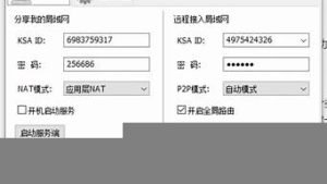 vps做种(vps做种子服务器)-百变无痕