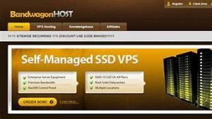 vps搬瓦工(vps搬瓦工官网)-百变无痕