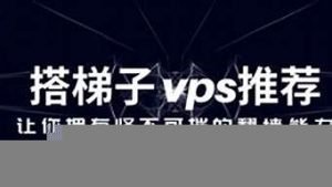 搭梯子vps(ps5看奈飞怎么搭梯子)-百变无痕