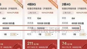 云服务器月流量(云服务器月流量500g够用吗)-百变无痕