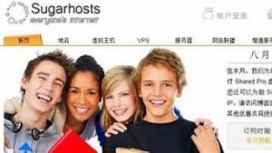 棉花糖虚拟主机(棉花糖自动售货机发展前景怎样)-百变无痕