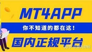 国内外汇vps(国内外汇可以转账吗)-百变无痕