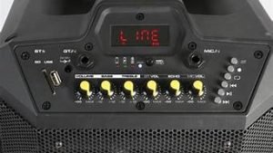 vps10(Vps10p)-百变无痕