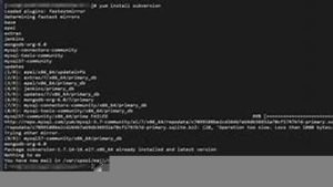 云服务器svn(云服务器网络测速)-百变无痕