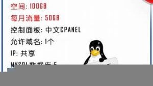 仿牌虚拟主机(虚拟主机低价)-百变无痕