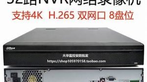 大华虚拟主机(大华虚拟主机怎么开机)-百变无痕