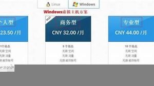 在哪买虚拟主机(买虚拟主机需要多少钱)-百变无痕