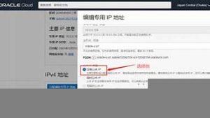 怎么搭vps(怎么搭配衣服好看)-百变无痕