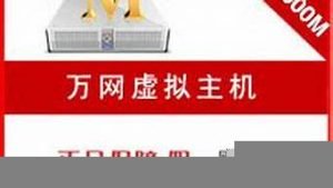 g型虚拟主机(虚拟主机功能)-百变无痕