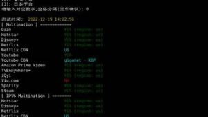 vps流媒体(vps流媒体解锁检测脚本大全)-百变无痕