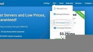 vps主机购买(vps主机的优缺点)-百变无痕