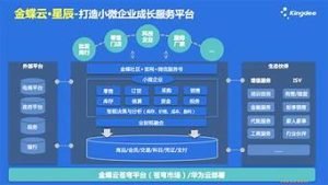 星辰云服务器(星辰云服务器稳定吗)-百变无痕