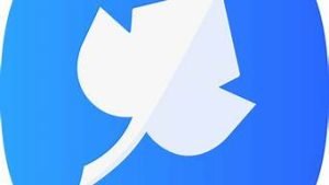 枫叶云vps(枫叶云ssr)-百变无痕