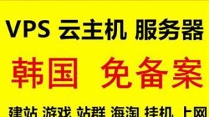 韩国vps高防(韩国VPS真空泵)-百变无痕