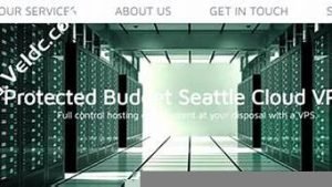 vps高防(高配置vps)-百变无痕