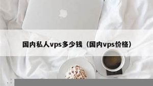 国内私人vps(国内私人vps多少钱)-百变无痕