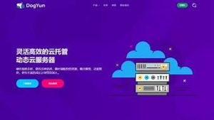 国外动态vps-百变无痕