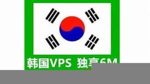 韩国独享vps(韩国独享sk5)-百变无痕
