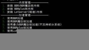 vps怎么装(vps怎么安装)-百变无痕