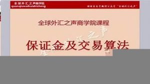外汇专业vps(外汇专业人才队伍建设)-百变无痕