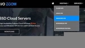 国外美国vps(国外美国佬开1美元到500)-百变无痕
