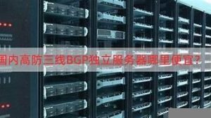 国内高防vps(国内高防bgp)-百变无痕
