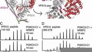 vps15(VPS1500F鱼缸过滤器安装视频)-百变无痕