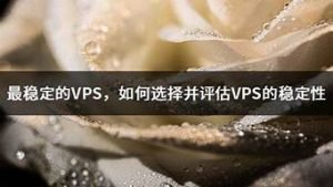 最稳定的vps(最稳定的职业)-百变无痕