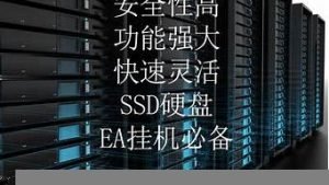 vps标准(vps外观标准)-百变无痕