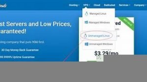 搭建美国vps(搭建美国ip租什么服务器比较好用)-百变无痕