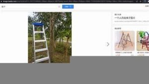 梯子便宜vps-百变无痕