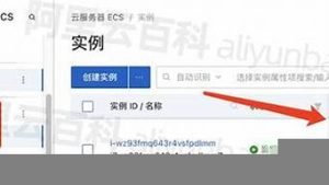 公云服务器地址(云服务公网ip)-百变无痕