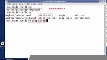 apache基于域名的虚拟主机(apache中配置虚拟主机的作用)-百变无痕