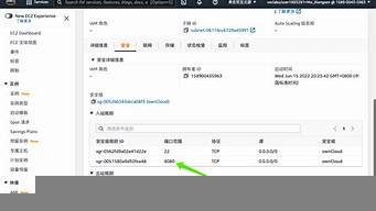 aws云服务器带宽是多少(aws云主机)-百变无痕