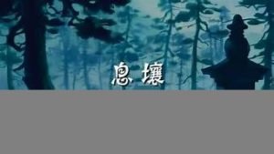 息壤vps(息壤是什么意思)-百变无痕