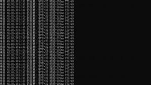 洲cn2vps-百变无痕